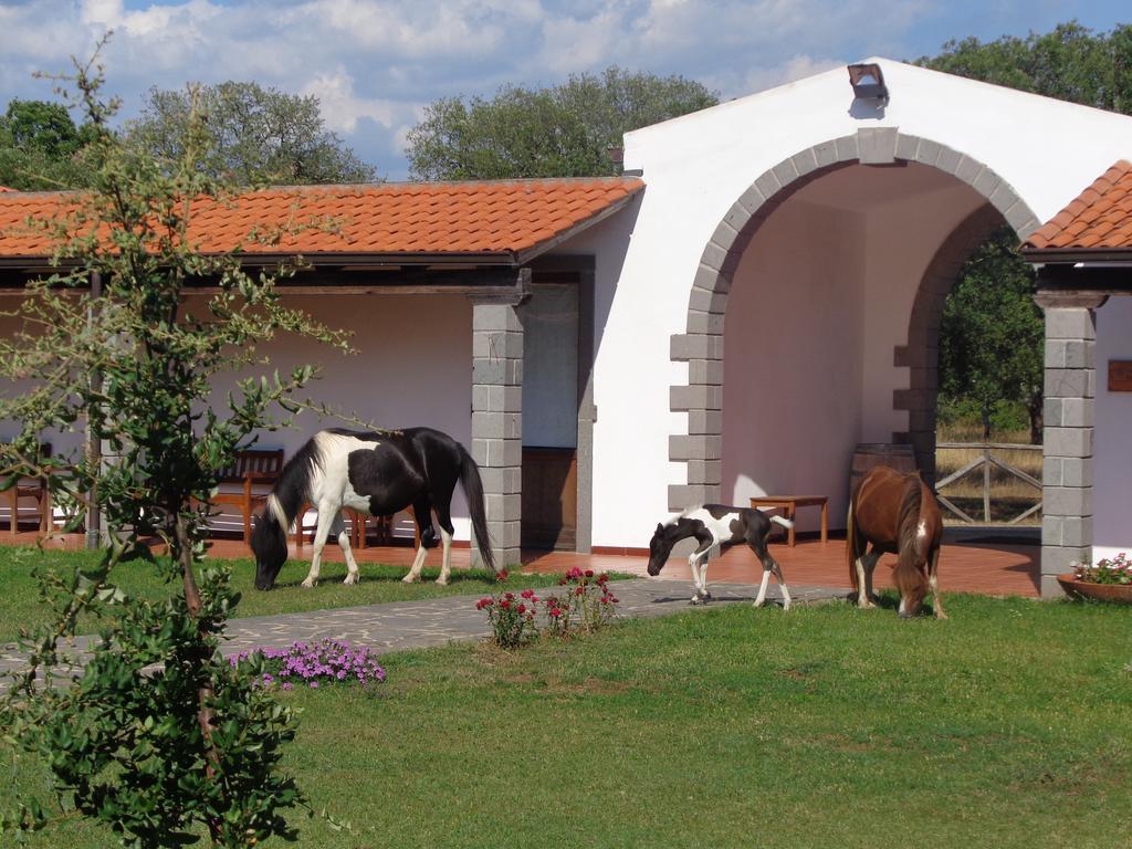 Hotel Su Baione Abbasanta Dış mekan fotoğraf